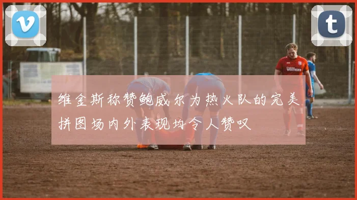 维金斯称赞鲍威尔为热火队的完美拼图场内外表现均令人赞叹