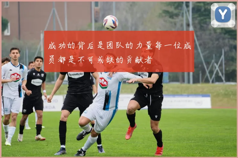 成功的背后是团队的力量每一位成员都是不可或缺的贡献者