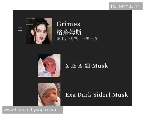 哈里森的决策失误全景分析从克莱到格莱姆斯的遗憾与教训